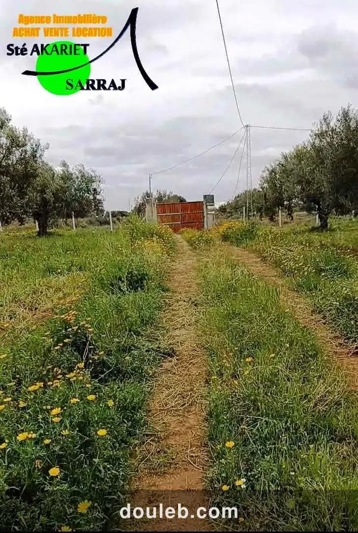 Terrain 4060m pas loin dar zitouna à sidi bouali à Tunis