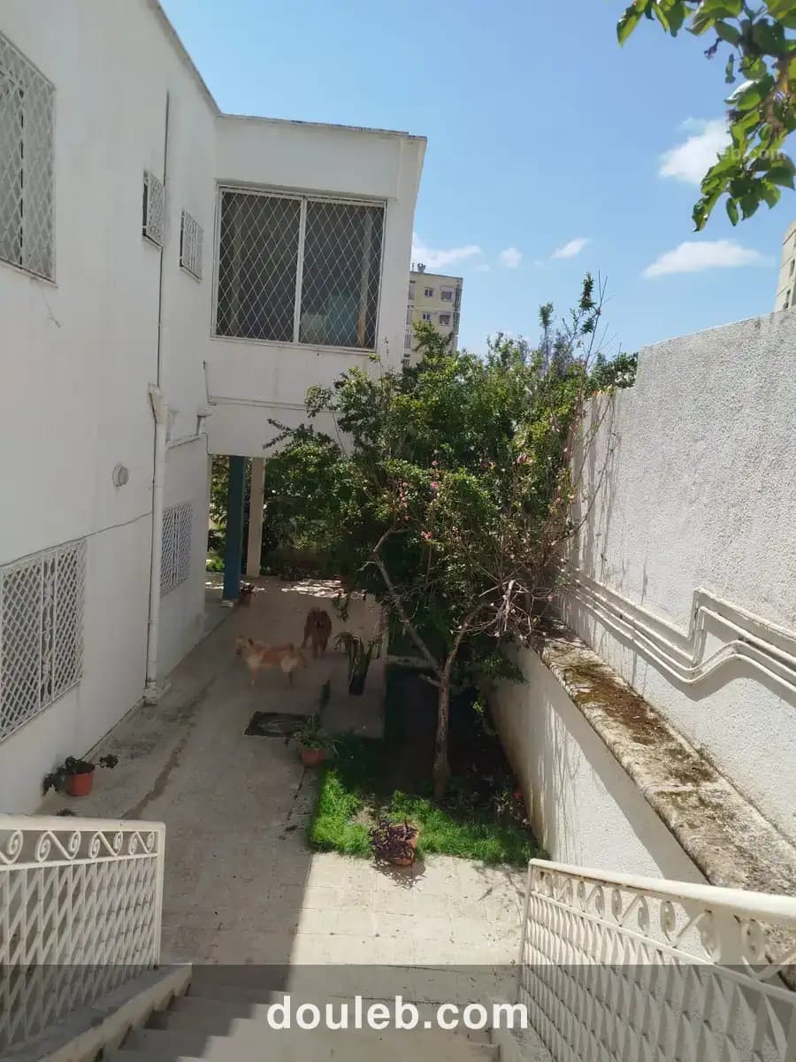 Un spacieux rdc de villa s4 indépendant à menzah6 à Tunis