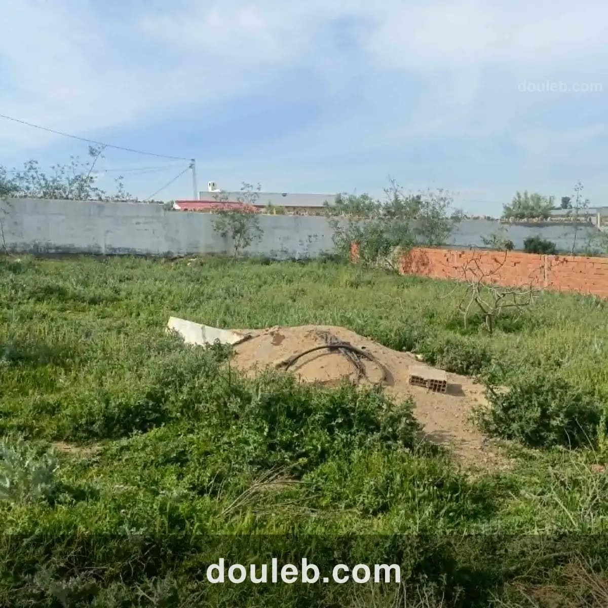 Terrain 750m à monchar hammamet sud à Tunis