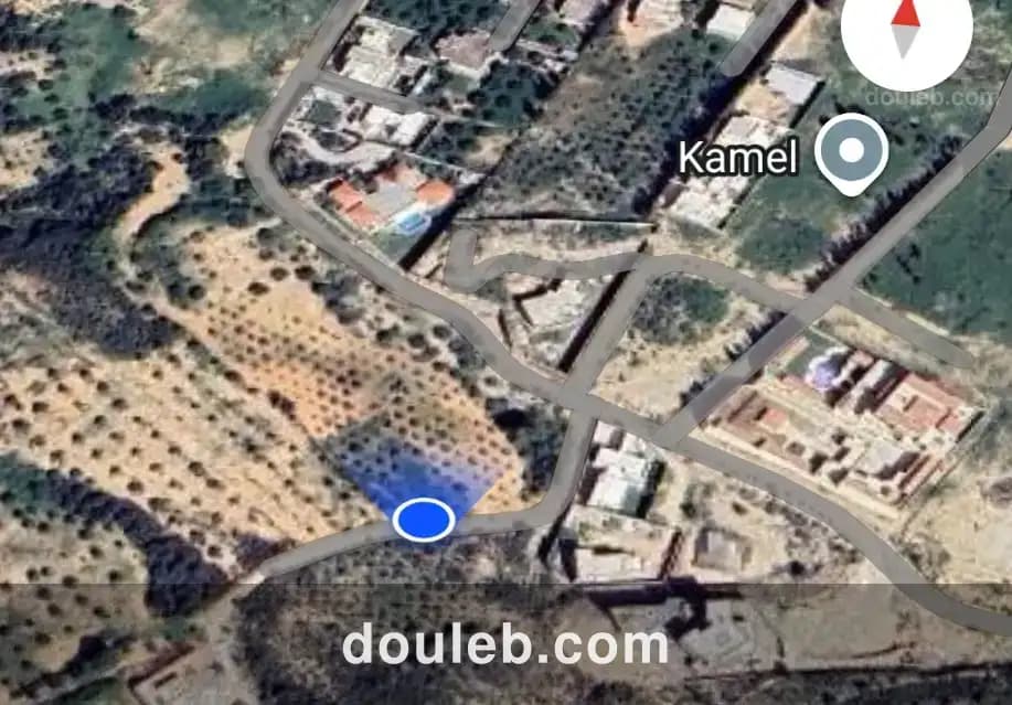 Pour amateurs de la nature - Photo 1