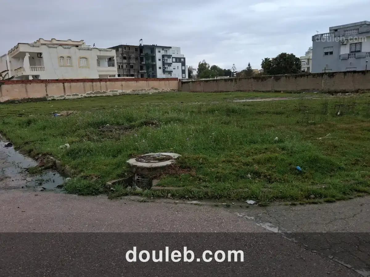 Gps hnia terrain viabilisé coté essamba h chatt - Miniature 5