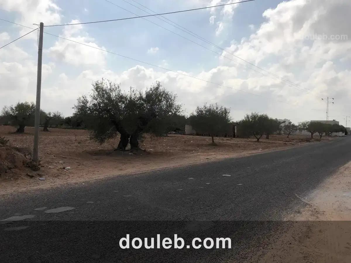 Lot de terrain à Tunis