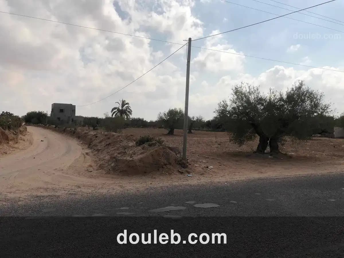 Lot de terrain - Miniature 2