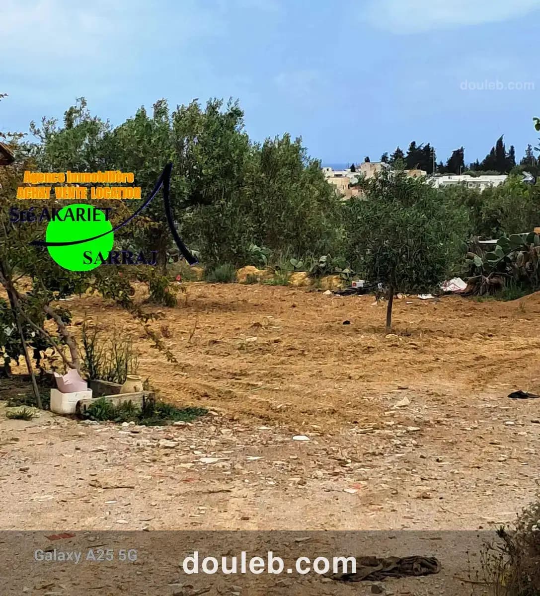 Terrain 12000m pas loin de koussour gharnata - Miniature 3