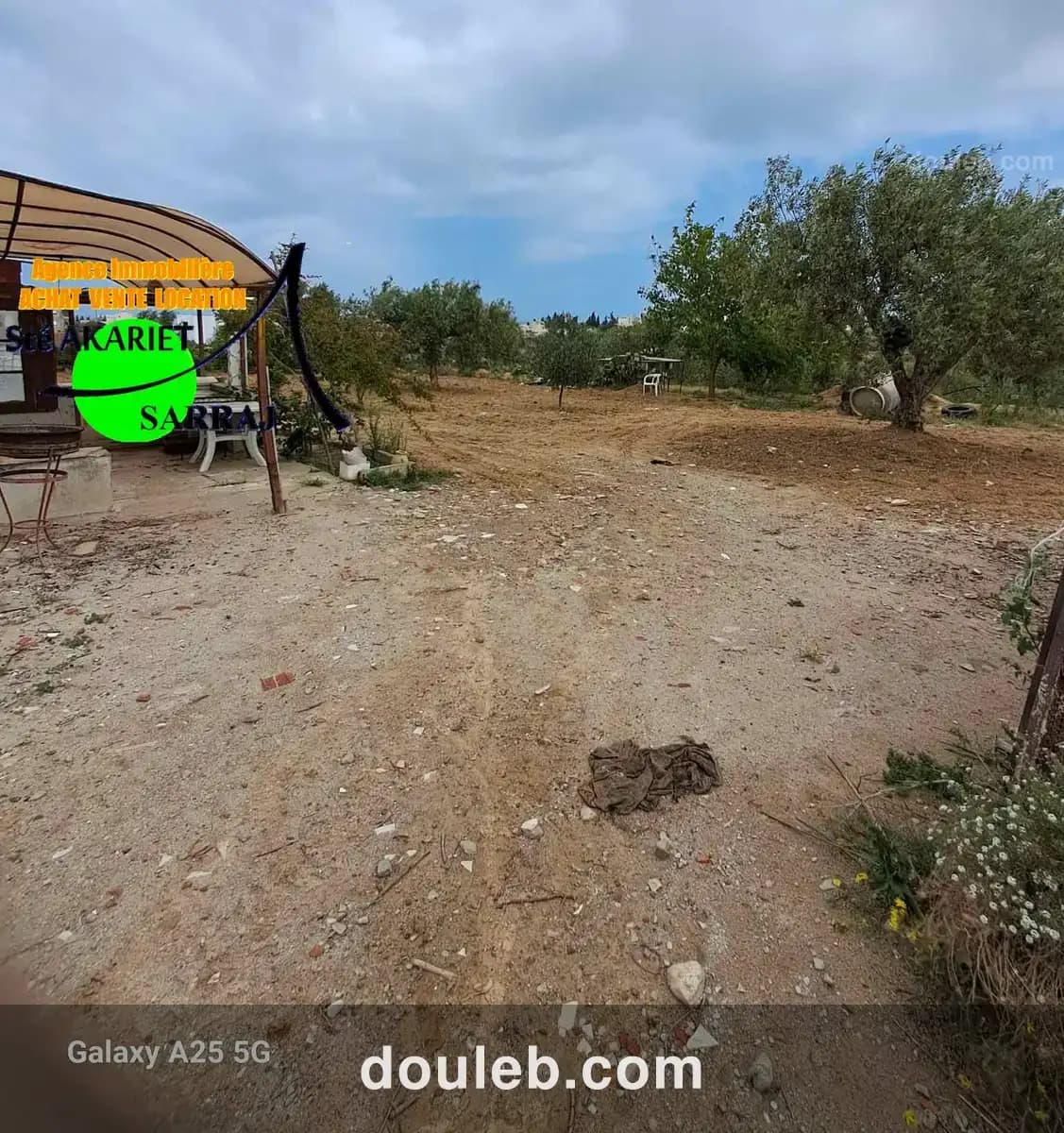 Terrain 12000m pas loin de koussour gharnata - Miniature 5