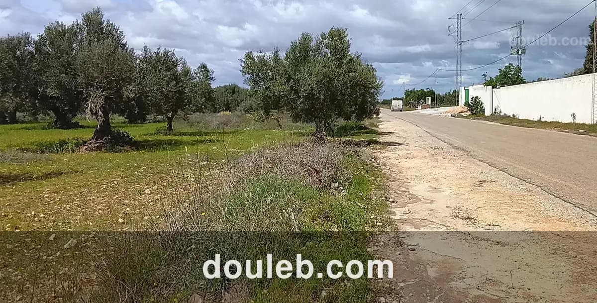 Super terrain - Photo 1