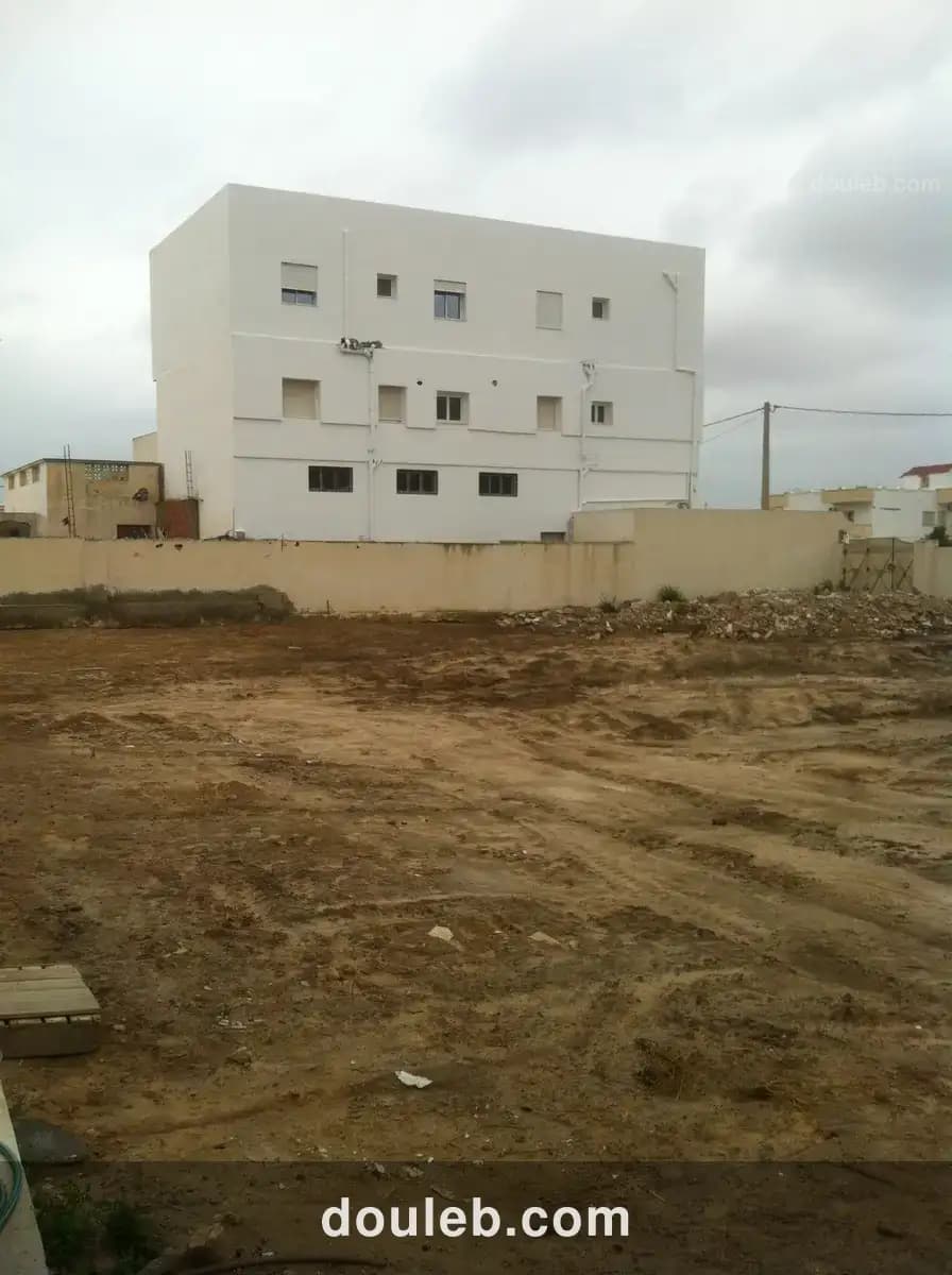 Terrain 1430 m2 route el ain km 2 - Miniature 4