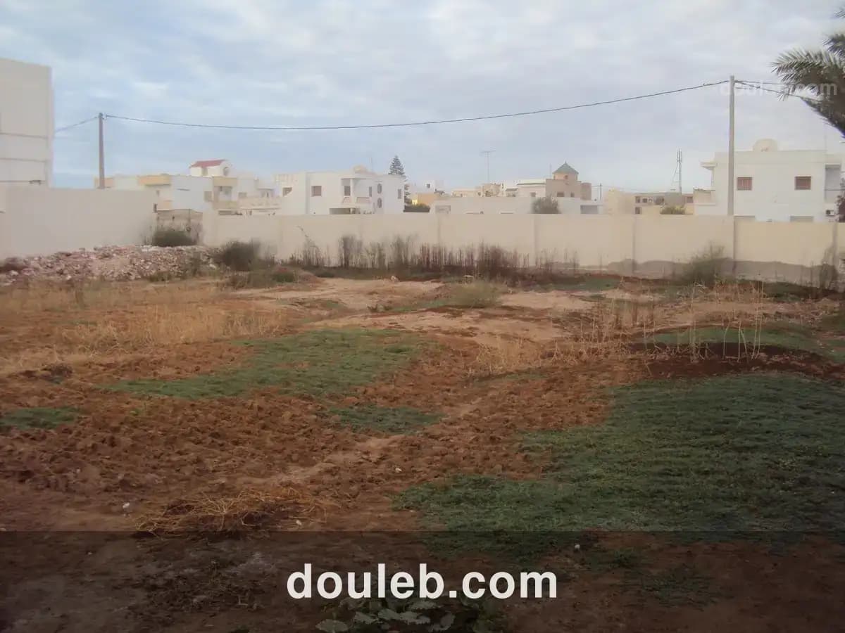 Terrain 1430 m2 route el ain km 2 - Miniature 5