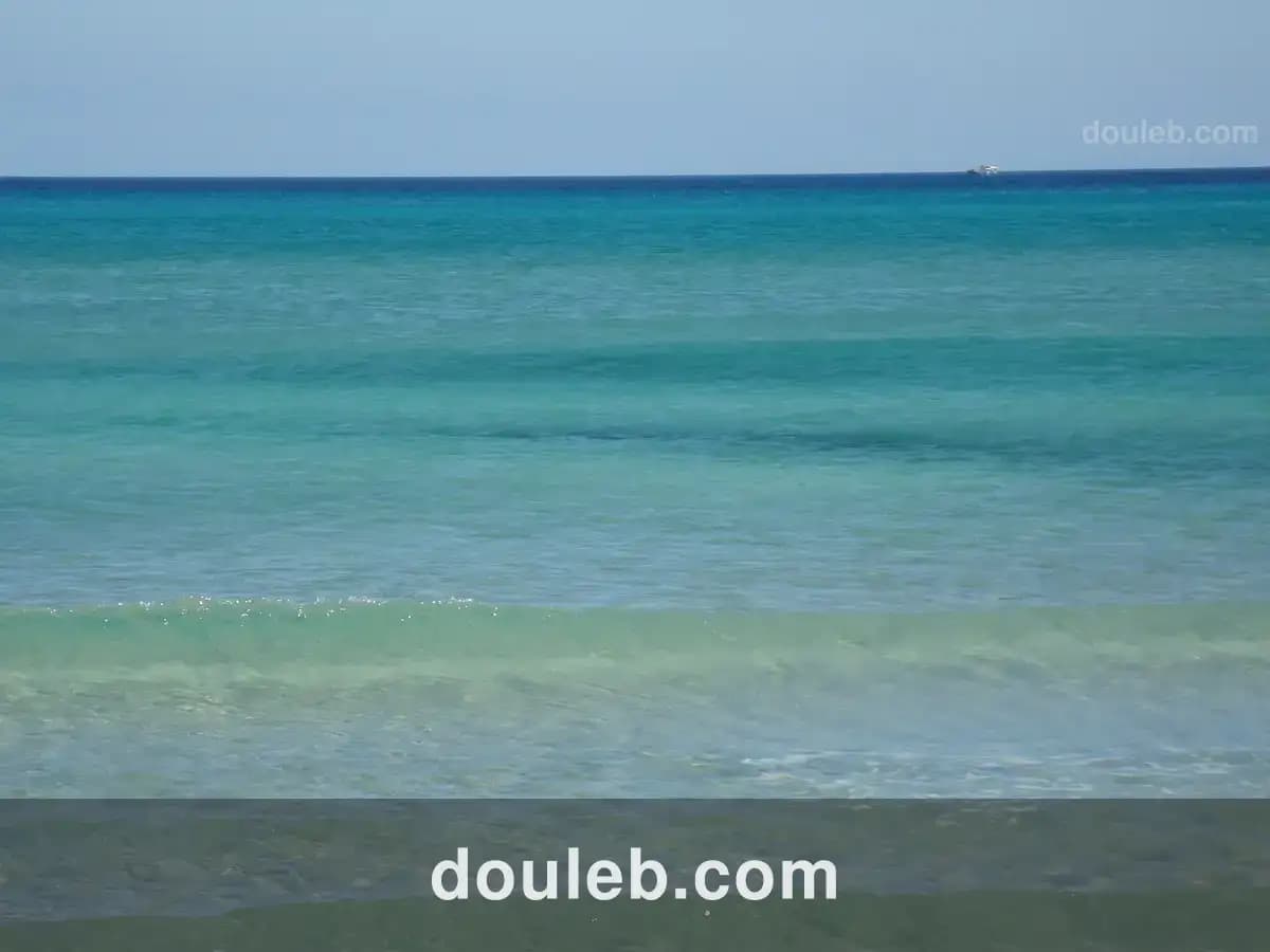 Investir au bord de la mer 5 hectare - Photo 1