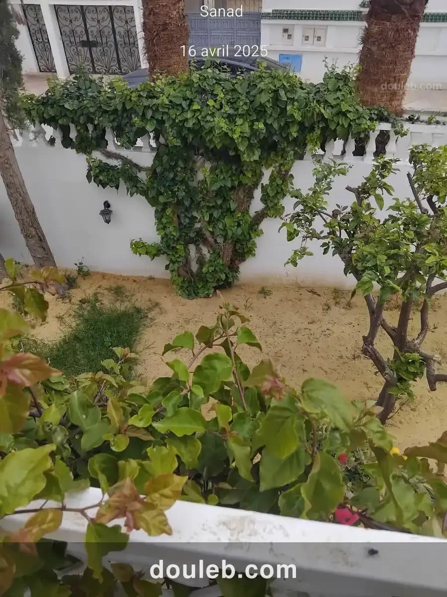 Grande villa 2 niveaux carthage birsa - Miniature 2