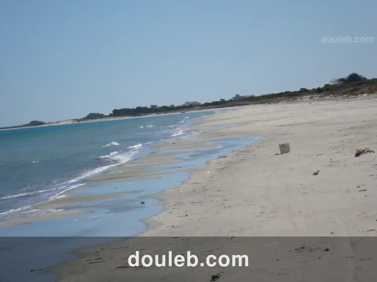 Offre magique de 5 hectare pour investir - Photo 1