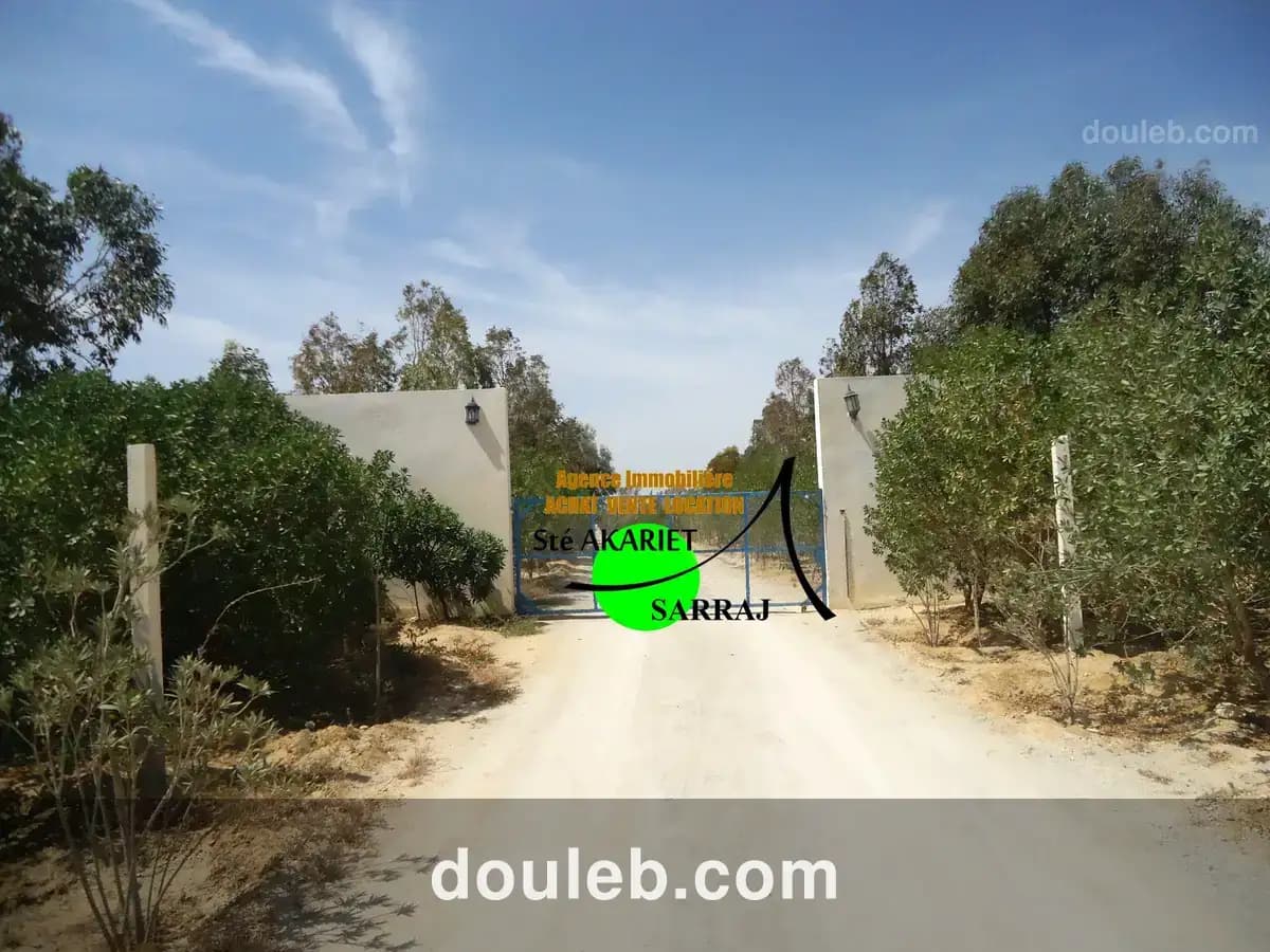 Terrain 414m dans une lotissement privé hergla - Miniature 2