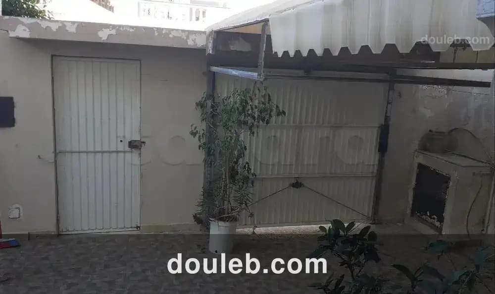 Duplex ariana - Miniature 2