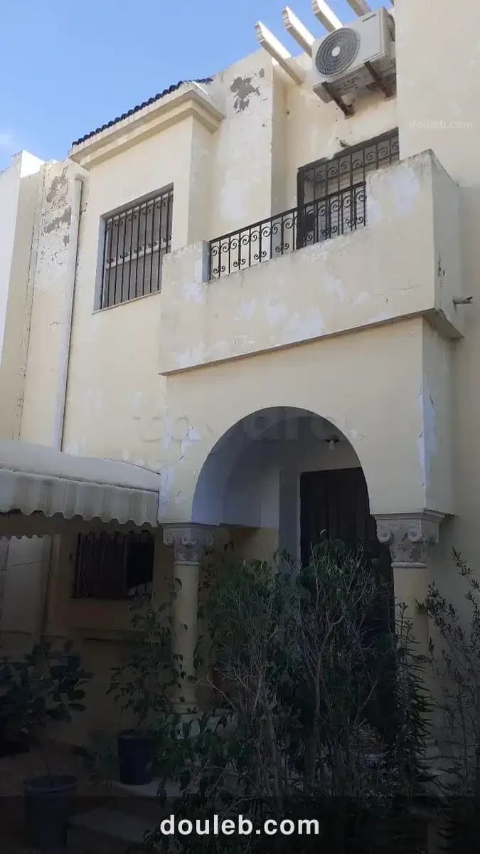 Duplex ariana - Miniature 4