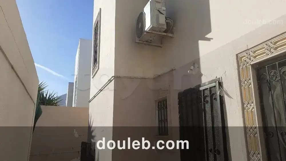 Duplex ariana - Miniature 5