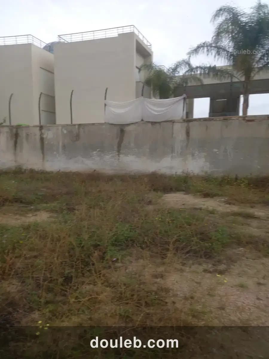 Beau terrain cité la gazelle - Photo 1