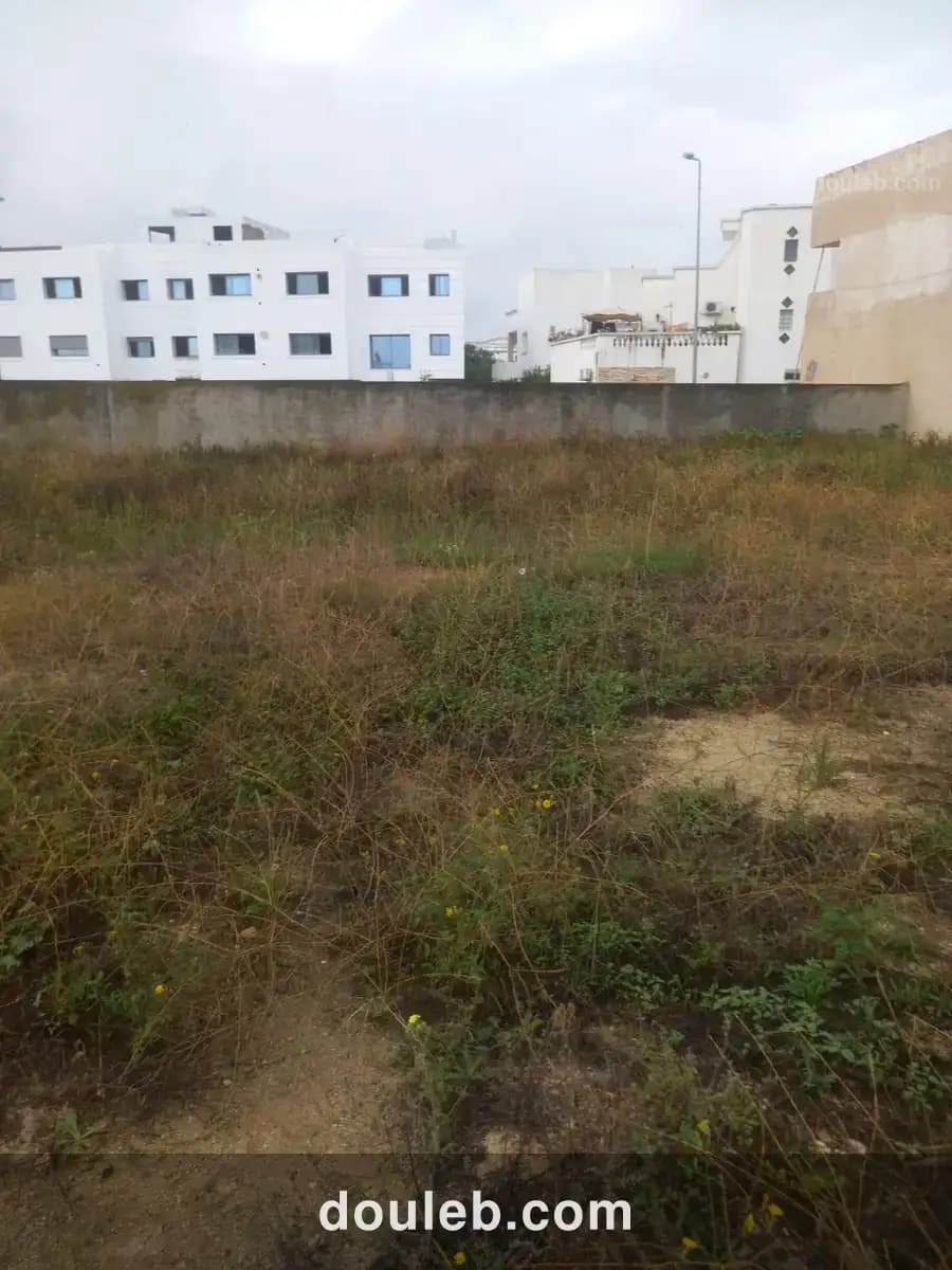 Beau terrain cité la gazelle - Miniature 2