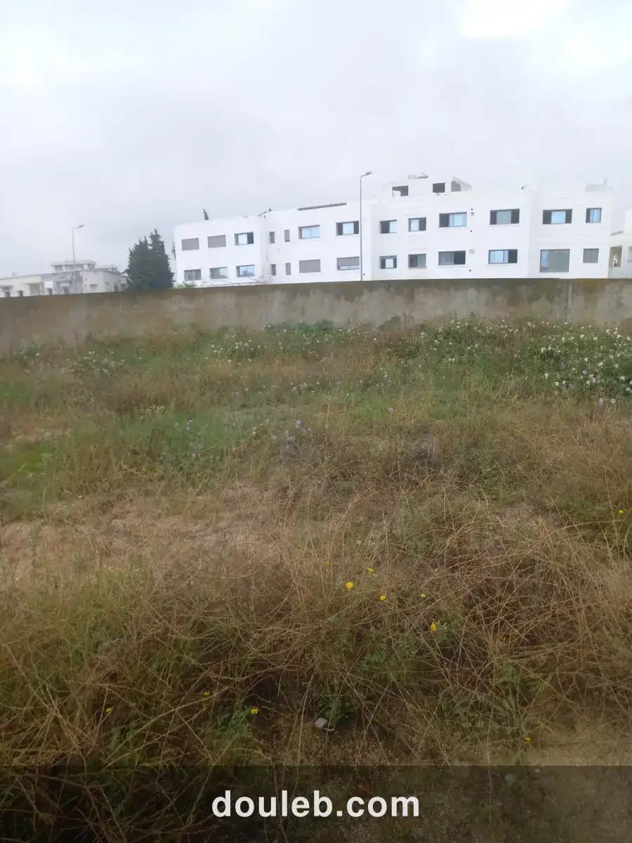 Beau terrain cité la gazelle - Miniature 3