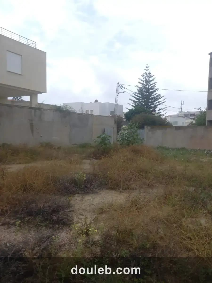 Beau terrain cité la gazelle - Miniature 4