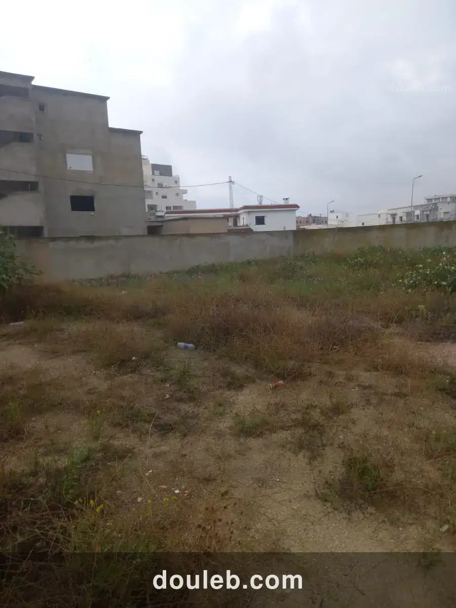 Beau terrain cité la gazelle - Miniature 5