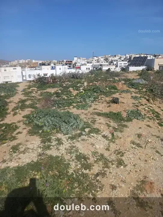 Terrain menzah 9 c - Miniature 4