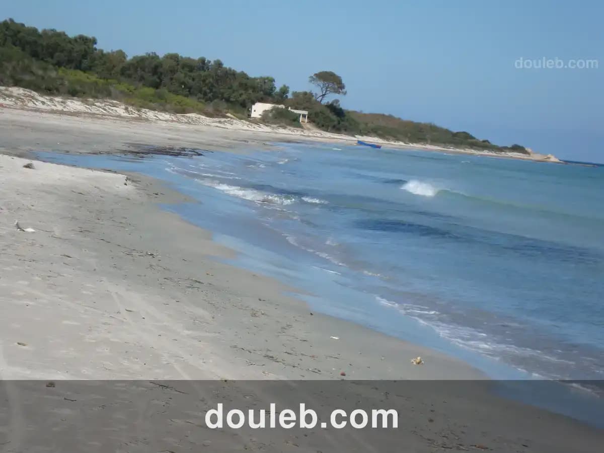 Opportunité pour investir de 5 hectare à Tunis