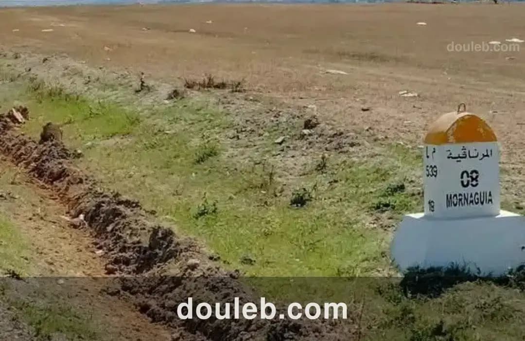 Terrain habitat unique - Miniature 3