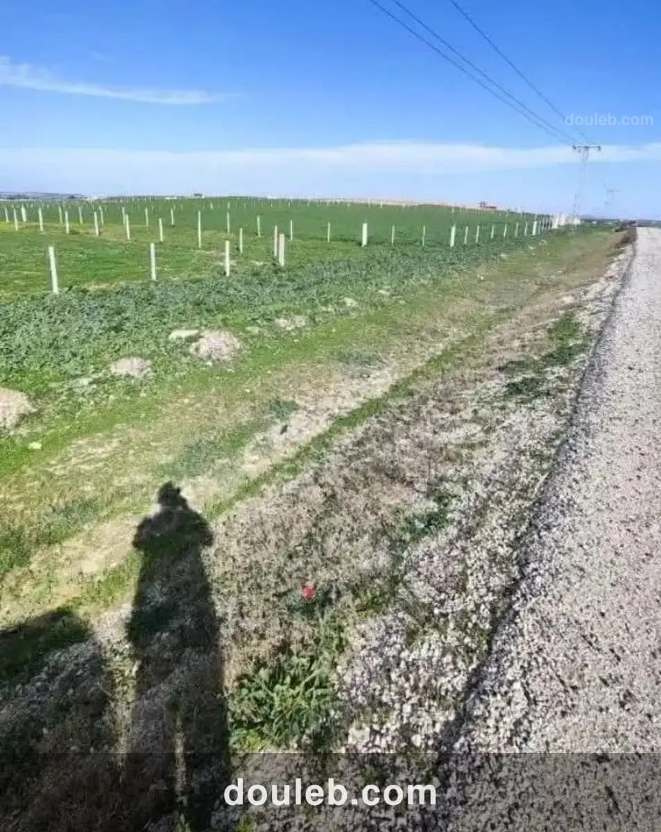 Terrain habitat unique - Miniature 4