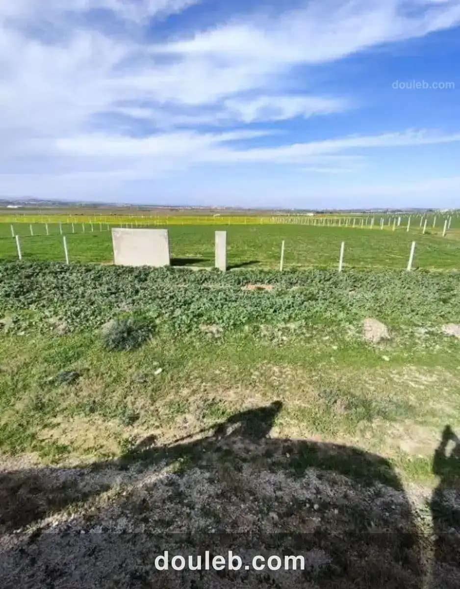 Terrain habitat unique - Miniature 5