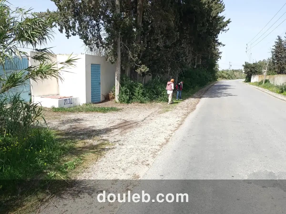 Senia 8 hectares slimene - Miniature 2