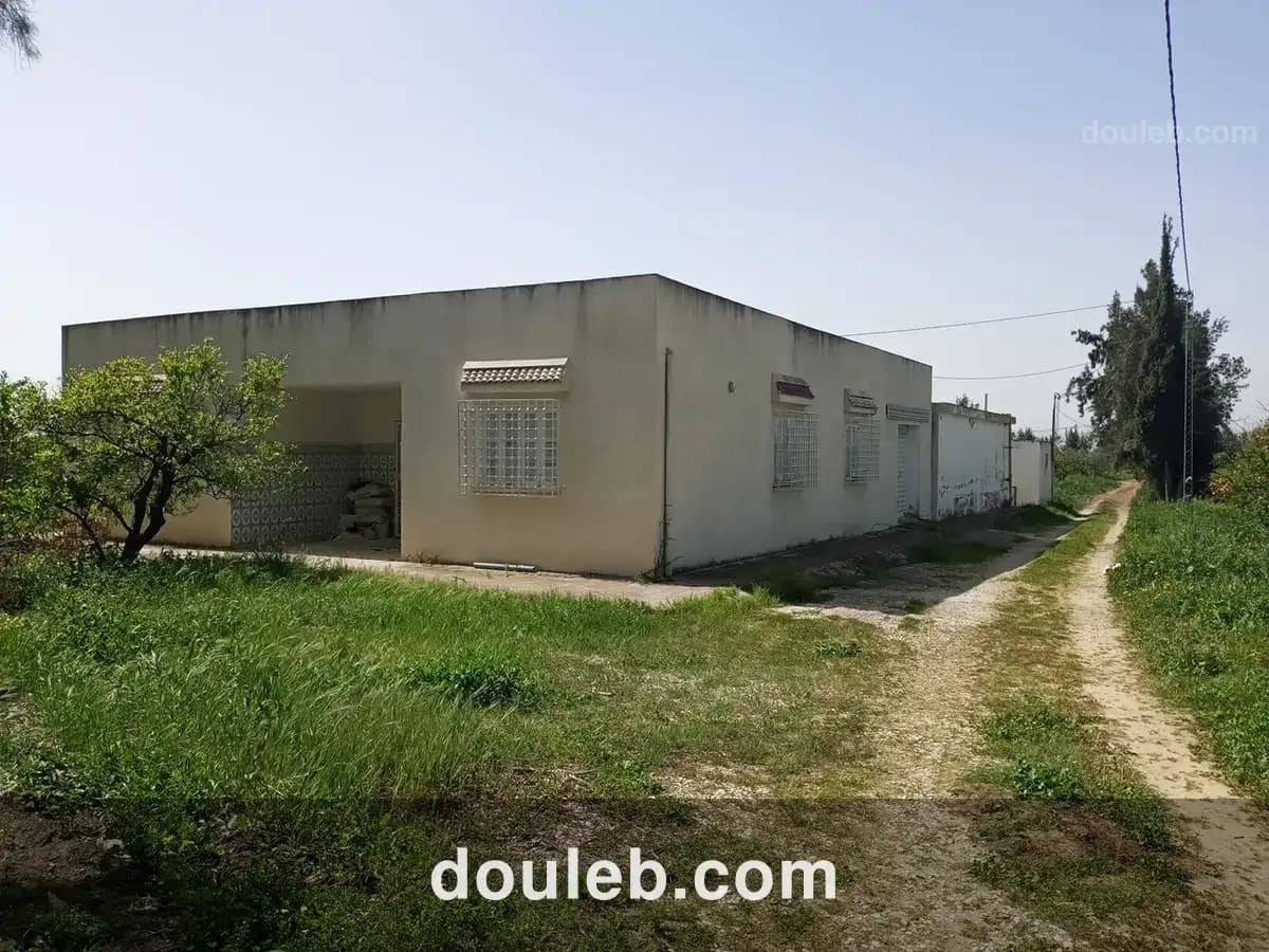 Senia 8 hectares slimene - Miniature 3