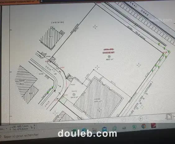 Terrain de 8000 m2 à z ind de chotrana - Miniature 2