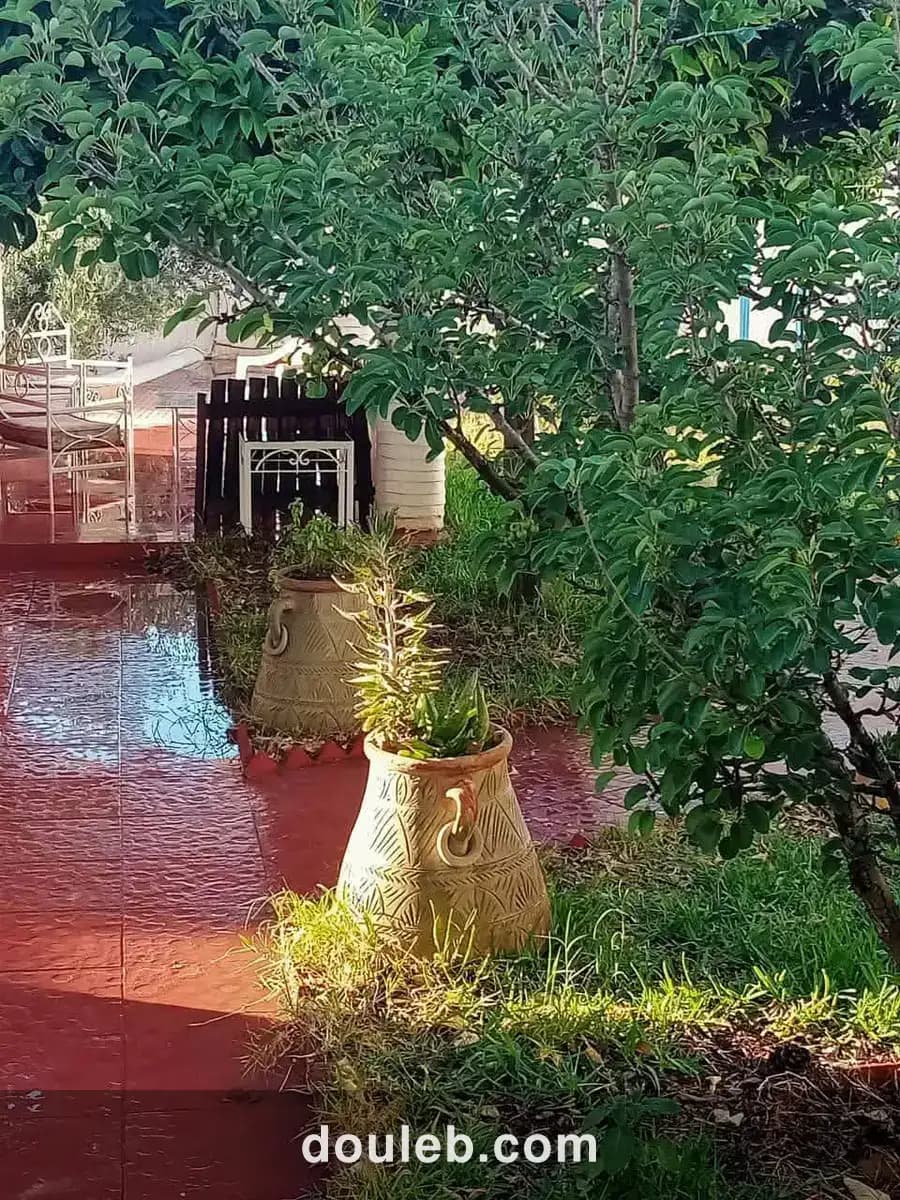 Belle villa style arabe avec grand jardin à rafraf à Tunis