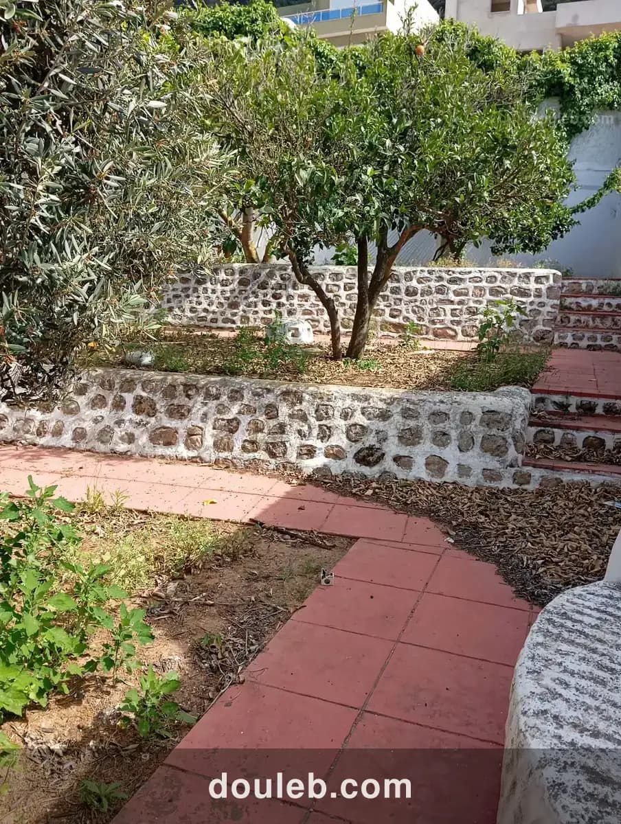 Belle villa style arabe avec grand jardin à rafraf - Miniature 2