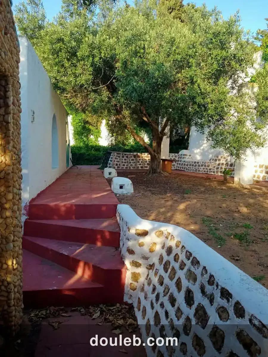 Belle villa style arabe avec grand jardin à rafraf - Miniature 4