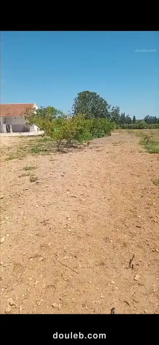 Terrain agricole à borj el amri avec sondage - Miniature 4