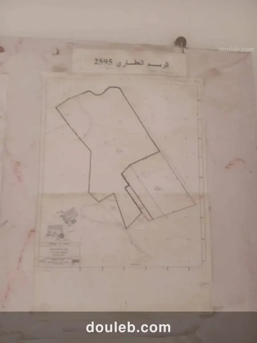 Terrain ennasr 1 borj turki - Photo 1