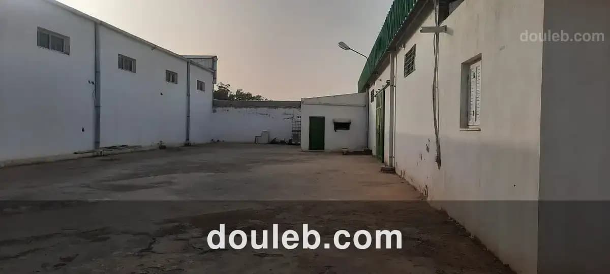 Local industriel huilerie dépôt - Miniature 2