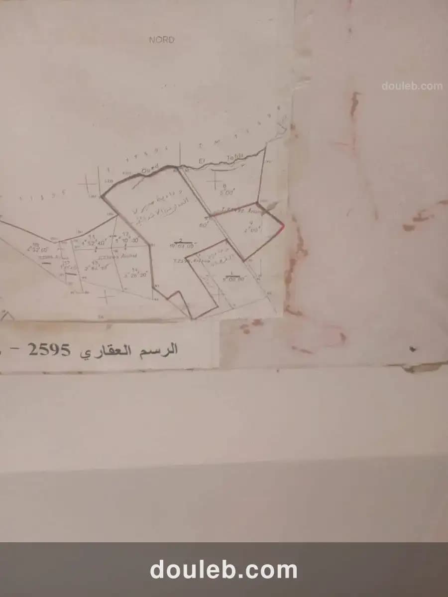 Terrain ennasr 1 borj turki - Miniature 3