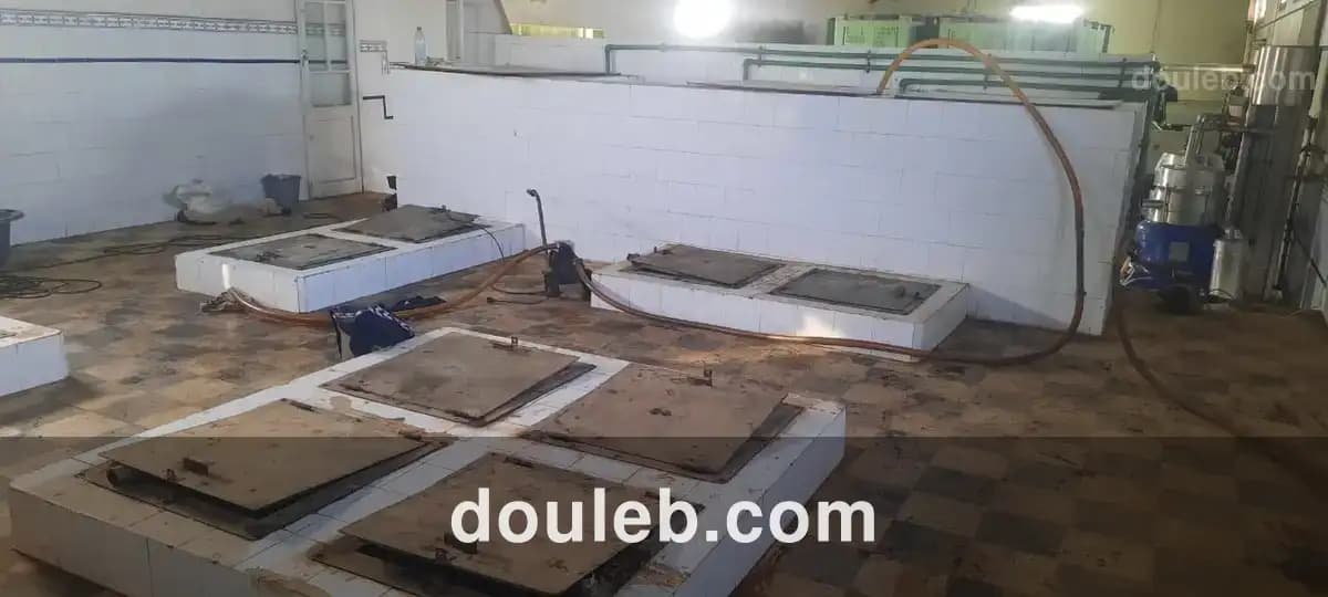 Local industriel huilerie dépôt - Miniature 3