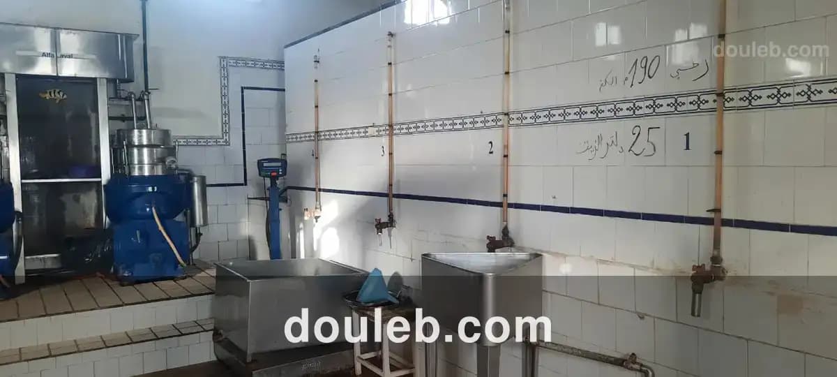 Local industriel huilerie dépôt - Miniature 4