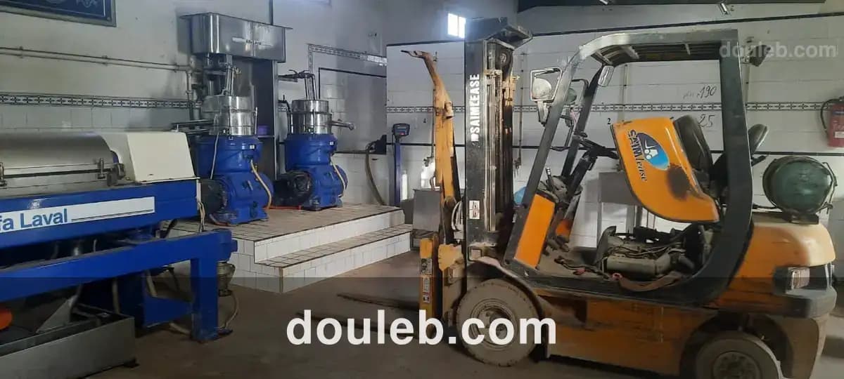 Local industriel huilerie dépôt - Miniature 5