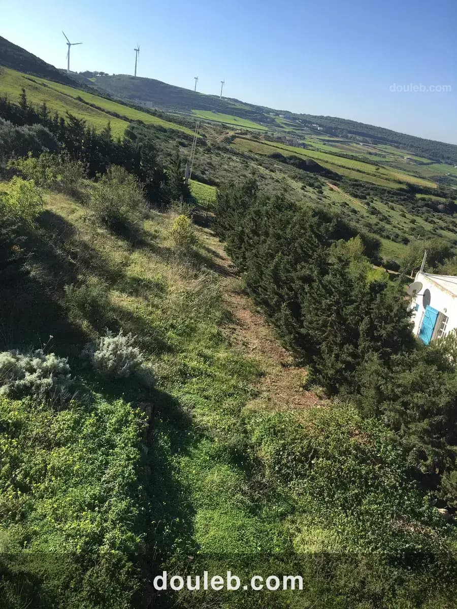 Occasion à ne pas rater - Photo 1