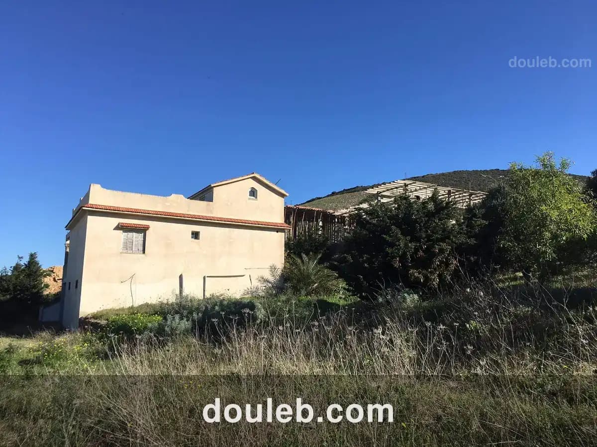 Occasion à ne pas rater - Miniature 3