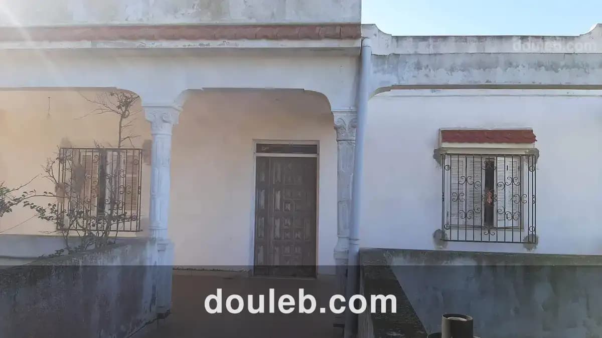 Occasion à ne pas rater - Miniature 5