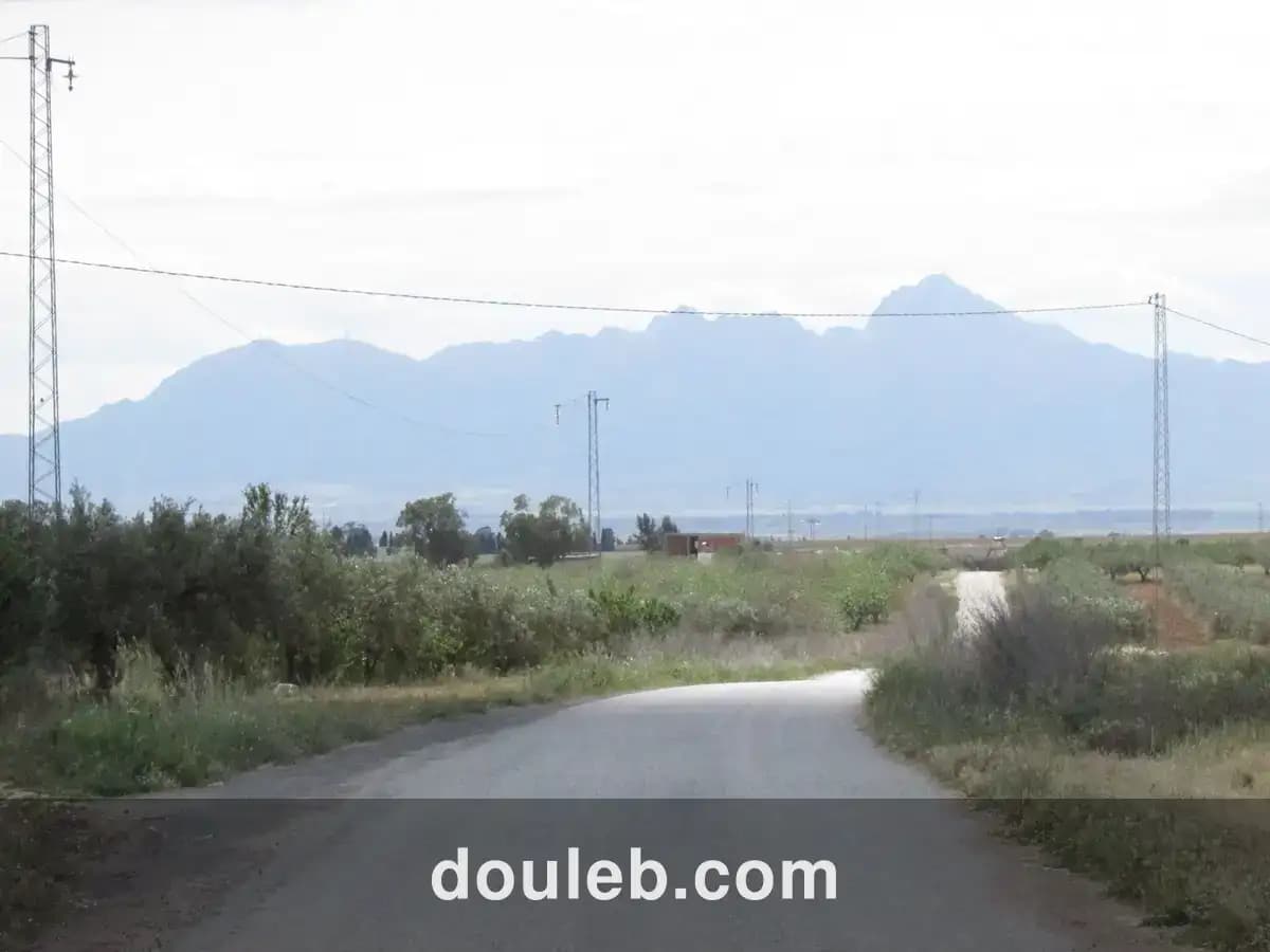 3 hectares pour une petite ferme - Miniature 2