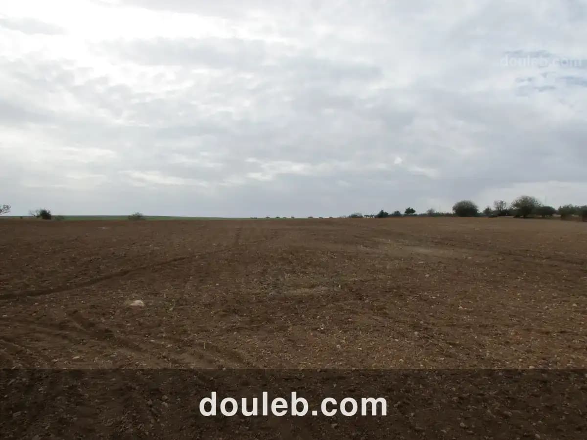 3 hectares pour une petite ferme - Miniature 3