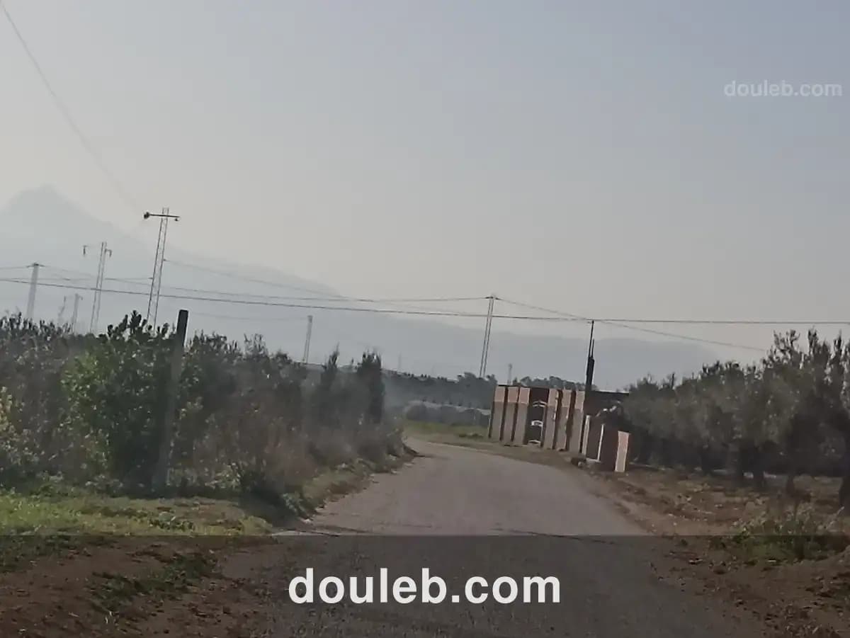 3 hectares pour une petite ferme - Miniature 5