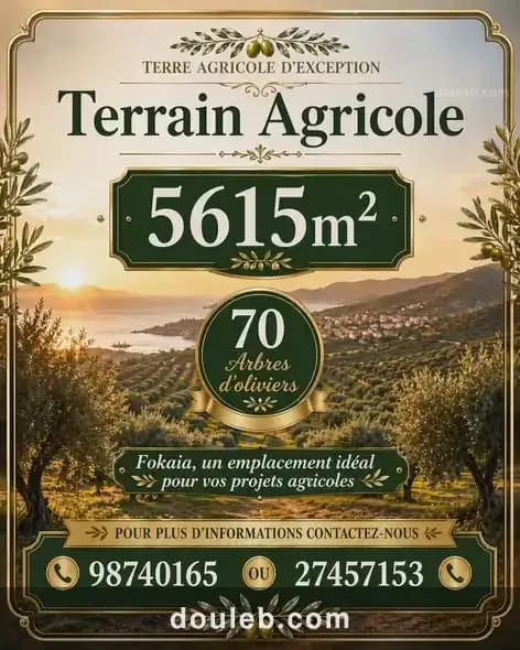 Lot d'invesstisement 5615m sur l'autoroute fokaia - Photo 1