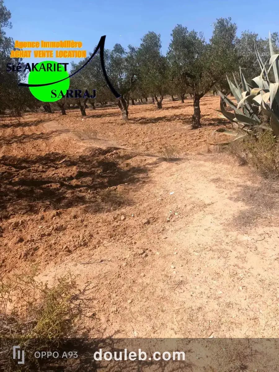 Lot d'invesstisement 5615m sur l'autoroute fokaia - Miniature 3